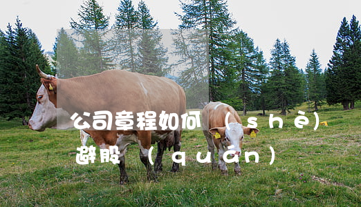 公司章程如何設(shè)計規(guī)避股權(quán)糾紛？